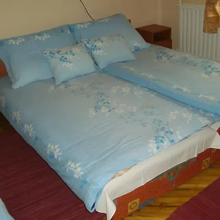 Pensjonat Barany Vendeghaz