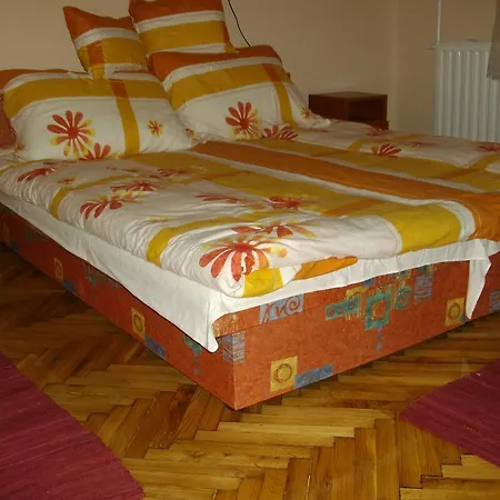 Pensjonat Barany Vendeghaz Tokaj