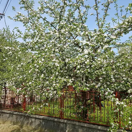 Barany Vendeghaz Pensjonat