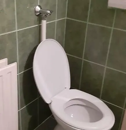 Pensjonat Barany Vendeghaz *