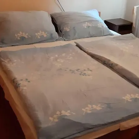 Pensjonat Barany Vendeghaz *
