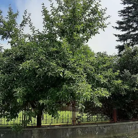 Pensjonat Barany Vendeghaz
